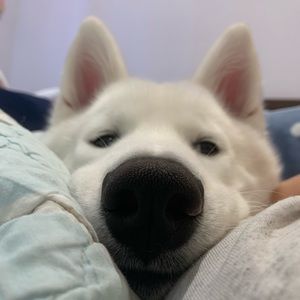 Meet your Posher, Sherry